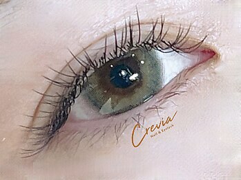 クレヴィア(crevia)/フラットラッシュ120本