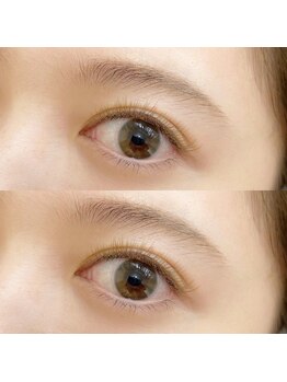 フルリール(fleurir)/フラットラッシュ140本