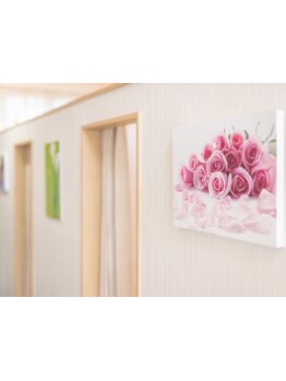 小顔になりたい