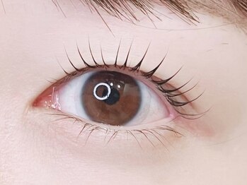 ファンドットジェルム(Fan.germe)/ラッシュリフト☆