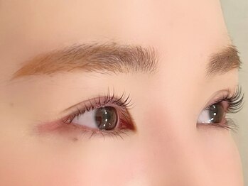 ウィル 新潟小新店(WILL)/《まつげパーマ》シンプリフィ