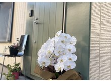 アンドムーン(and moon)の雰囲気（駐車場は表側、裏玄関からお入りください。）