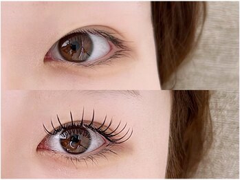 ステラ(Stella.)/フラットラッシュ160本