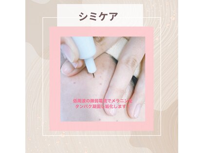 アクア(AQUA)の写真