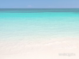 夏/海/夏ネイル/マグネット