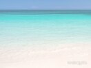 夏/海/夏ネイル/マグネット