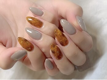 定額サンプルコース