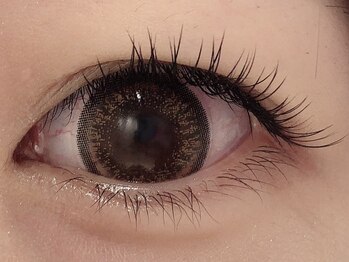 カラン 焼津店(CALIN)/フラットラッシュ100本