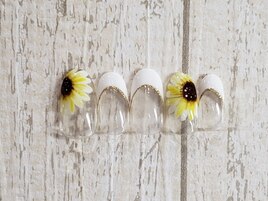 定額Design