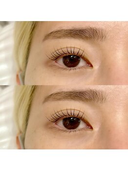 ネリネ(Nerine)/パーソナルラッシュリフト上