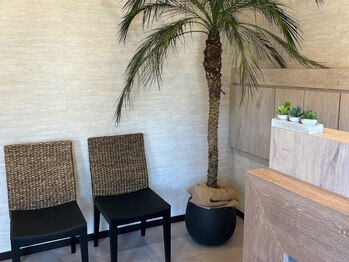 ドルチェ(Dolce)/店内写真☆