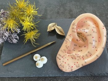 鍼灸庵利央/耳つぼ