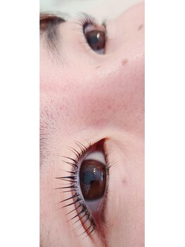 コア(Koa)/保湿トリートメントでまつげケア