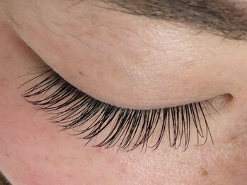 シュシュ(chou chou)/セーブル160本(chouchou吉祥寺)