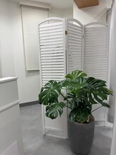 ホワイトニングショップ 銀座7丁目店(WHITENING SHOP)/緑があると落ち着きますよね♪