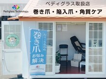 ルポ 伊勢