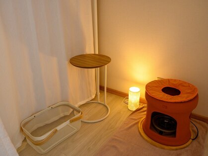 リリー(lily)の写真