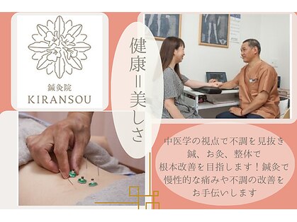 キランソウ(KIRANSOU)の写真