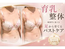 メデル(MEDEL)