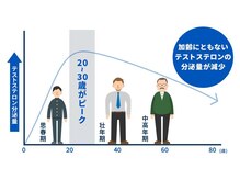 最終形美/男性ホルモンの機能回復