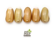 ピッピ 桜新町店(peep PEEP)/25年9月マンスリープラチナ-1