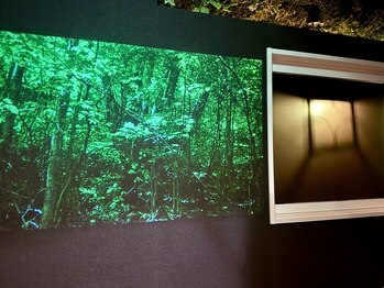 眠れる森のヘッドスパ 千葉店/待ち合いには、大スクリーン♪