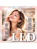 【LED Wフラットラッシュ無制限つけ放題】新規オフ無料/コーティング込¥12780