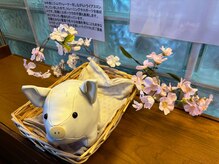 中野整体マスターズ/トントンのキャラクター　整体