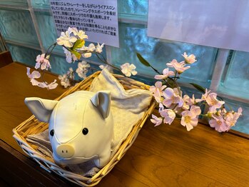 中野整体マスターズ/トントンのキャラクター 整体