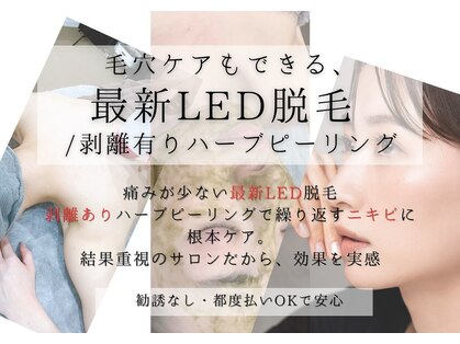 ベガ(Vega)の写真