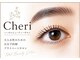 シェリー(Cheri)の写真