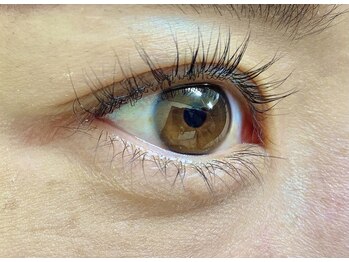 テナン(Tenang)/エレガントUPカール