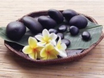 ボディオーガナイザー ヒナ(Body Organizer HINA)/ハワイアンロミロミ