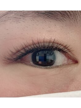 セルエス(sels)/フラットラッシュ120本