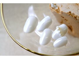 定額シンプルコース　上品