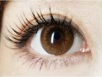 マヒナ フルフル(mahina huluhulu)/【フラットラッシュ】140本