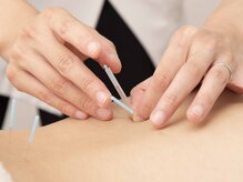 セレニティ アピタ戸塚店(Serenity)/