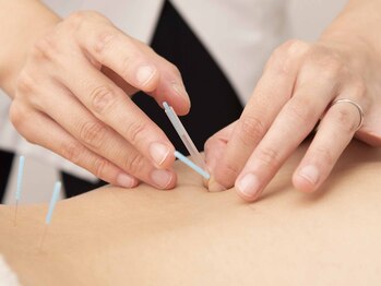 セレニティ アピタ戸塚店(Serenity)/