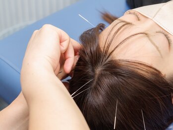 あおぞら整骨院 金沢文庫院の写真/肩こり・腰痛・神経系のお悩みに徹底アプローチ!血液や体の内部、筋肉まで幅広く対応できます♪