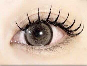 プレモ(Premo)/Wフラットラッシュ140束