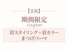 【10/16.19.20限定】マツパ+眉スタイリング+眉カラー（口コミ必須）D