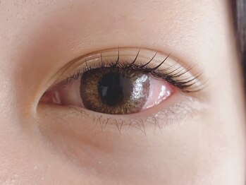 ボニータ(BONITA)/