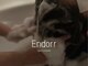 エンドア(Endorr)の写真
