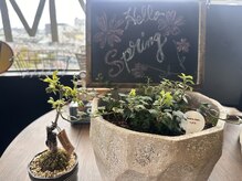 アルカディアジム(ARCADIA GYM)/お店の装飾