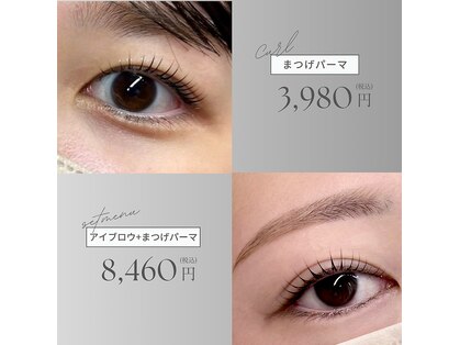 L'te eyelash【ルテアイラッシュ】まつげパーマ/パリジェンヌ/LEDマツエク/アイブロウの写真