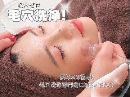 テオリア(TEORIA)の写真