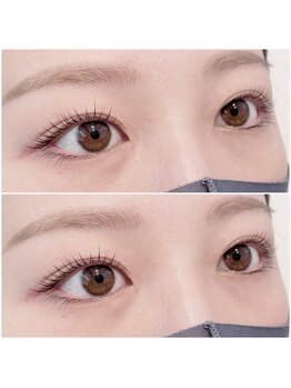 ディティカ リフィ(Dityca rify)/まつげパーマ