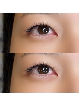 アネラ(anela)/フラットラッシュ120本