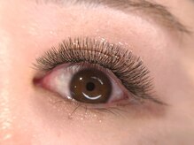 ベリンダ 表参道(BELINDA)/【プレメイドラッシュ6D×30束】