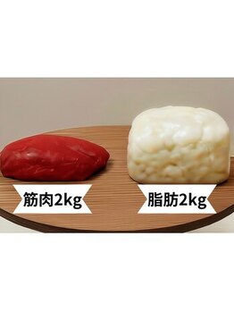 ヨサパーク フェザー(YOSA PARK Feather)/同じ2kgでも見た目は違う!